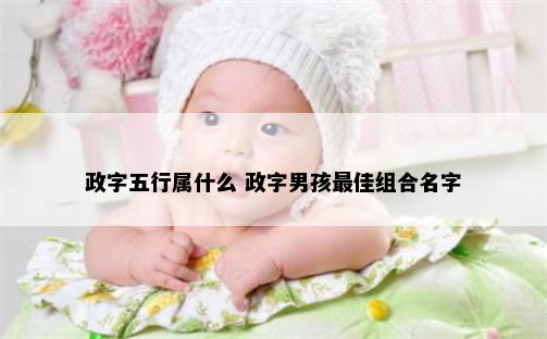 政字五行属什么 政字男孩最佳组合名字
