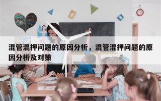 混管混押问题的原因分析，混管混押问题的原因分析及对策