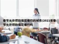 春节允许燃放烟花爆竹的城市/2021年春节允许燃放烟花爆竹吗