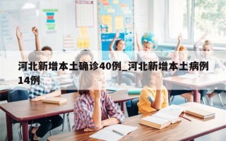 河北新增本土确诊40例_河北新增本土病例14例