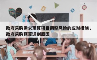 政府采购需求预算项目调整风险的应对措施，政府采购预算调剂原因