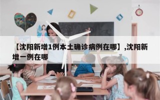 【沈阳新增1例本土确诊病例在哪】,沈阳新增一例在哪