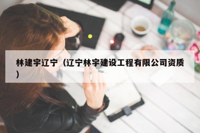 林建宇辽宁（辽宁林宇建设工程有限公司资质）