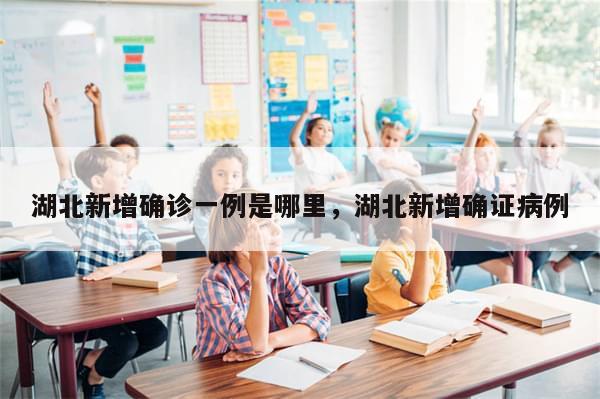 湖北新增确诊一例是哪里，湖北新增确证病例